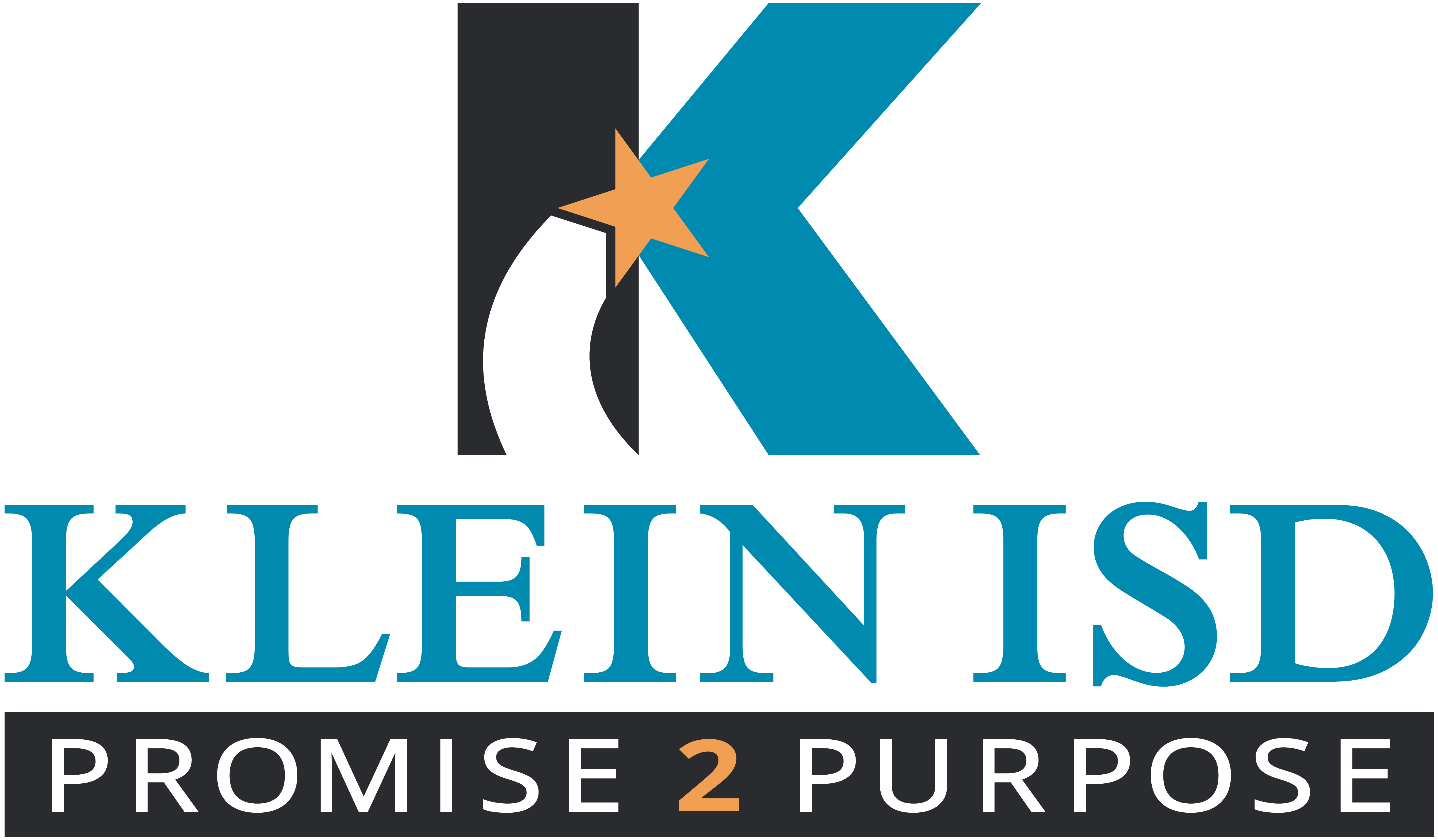 System Logo